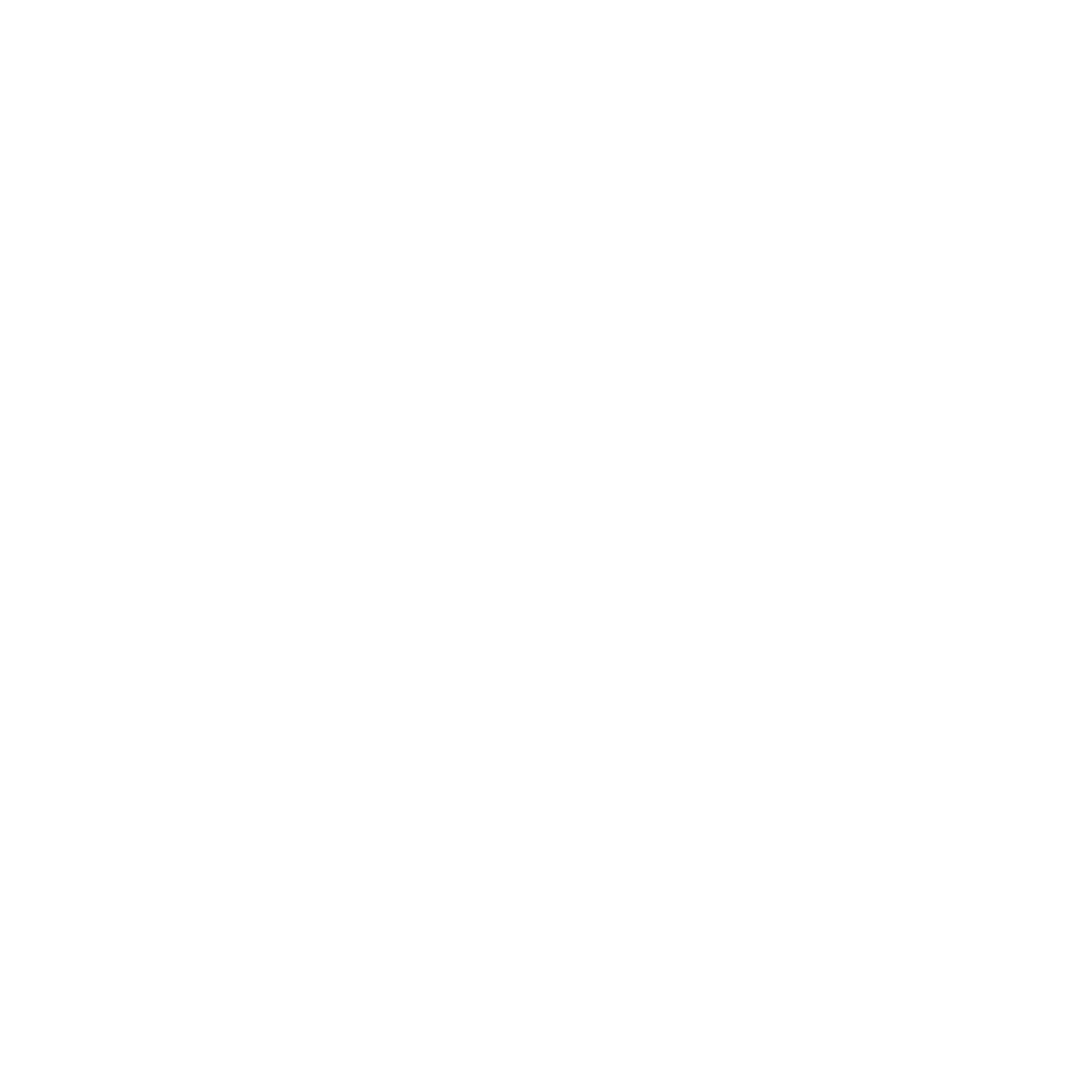 Johnny Software Development